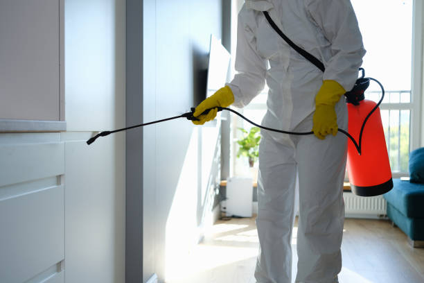 Best Mold Remediation for Specific Building Types in Newberry, FL